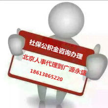 商務(wù)咨詢服務(wù) 企業(yè)決策的智慧引擎